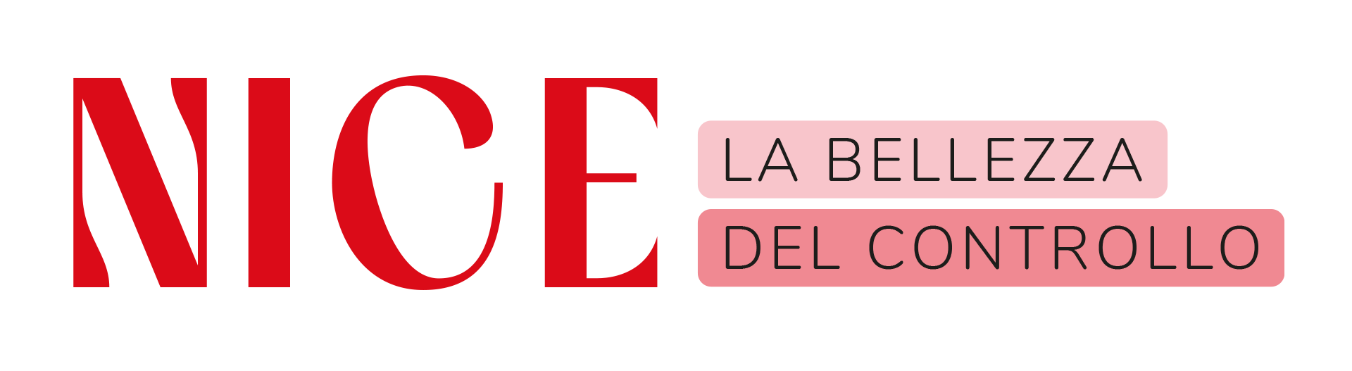 Logo-Nice-in-Cloud Logo Nice in Cloud software centro estetico